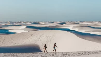 a couple of people walking on a sandy beach