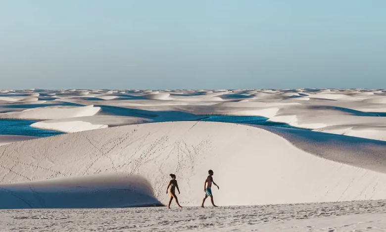 a couple of people walking on a sandy beach